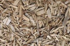 biomass boilers Wig Fach